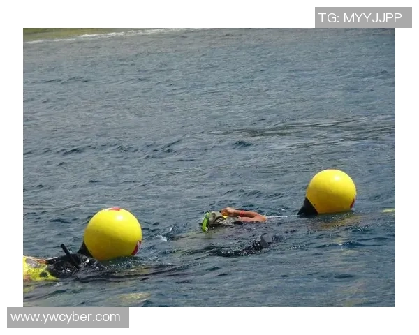 深圳滑板队的耐力挑战与成长探索之旅